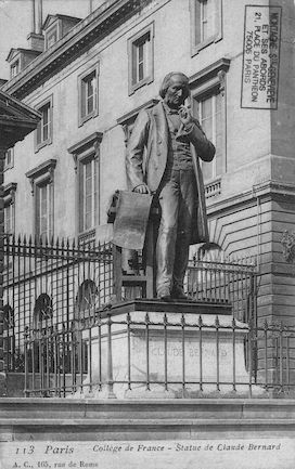 181 Collège de France. Statue de Claude Bernard