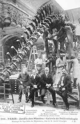 206 Jardin des plantes. Museum d'histoire naturelle. Galerie de Paléontologie