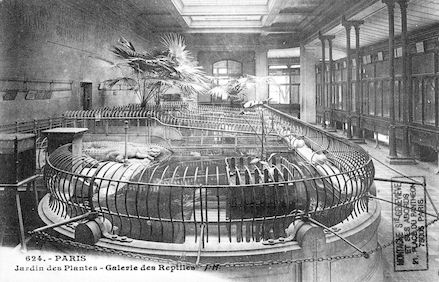 269 Jardin des plantes. Galerie des reptiles