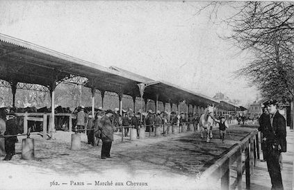 532 Marché aux chevaux