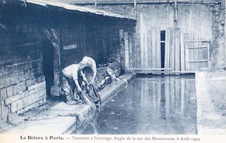 803. Bièvre à Paris. Tanneurs à l'ouvrage en aout 1904