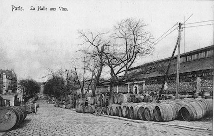 858 Halle aux vins